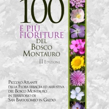 eBook "Le 100 e più fioriture del Bosco Montauro" - II Edizione