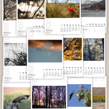 Il Mio Calendario 2012