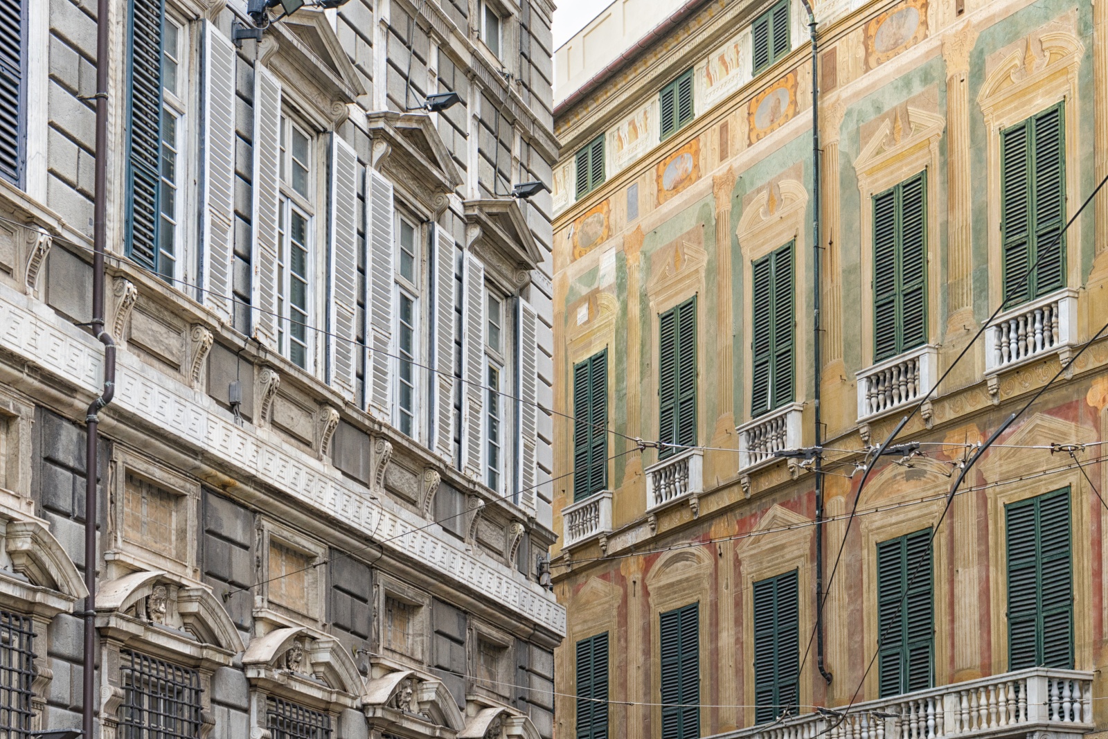 Windows - Sguardi sul mondo: Genova