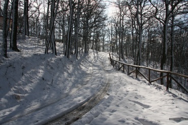 Inverno 2010 - Sito nel territorio del Comune di San Bartolomeo in Galdo BN Italy.