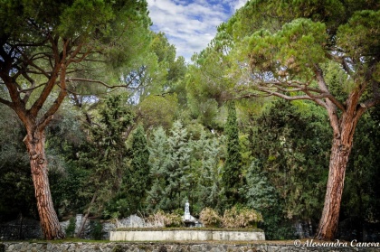 8° Concorso "Obiettivo Hanbury" indetto dai Giardini Botanici Hanbury di Ventimiglia