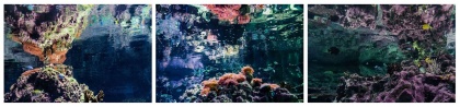 "Ambienti subacquei" indetto dall'Acquario di Genova