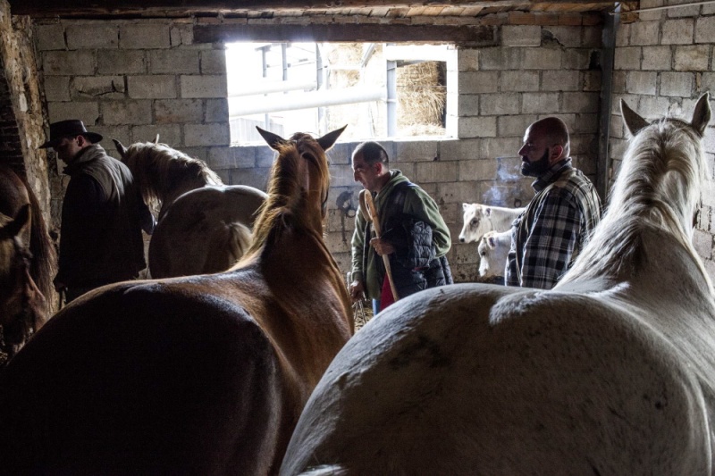 San Marco in Lamis (prov.Foggia: i pastori preparano i cavalli per partire.